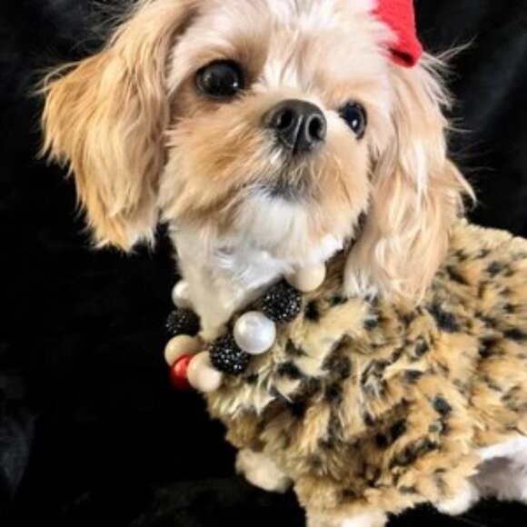 Barkberry (14", 17") - Pet Necklace - Pet Accessories - Picture 2 of 3